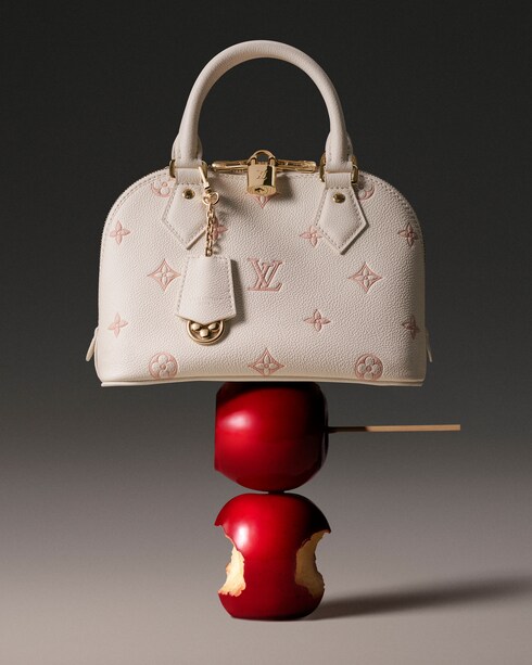 Bolso LV